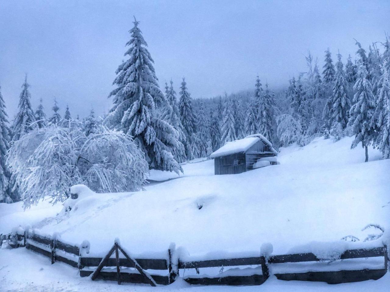 Готель Provincial Вишово-Нижнє Екстер'єр фото